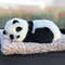 KMSKCar-Interior-Decoration-Panda-Decor-Car-Ornament-ABS-Plush-Panda-Cool-Gift-Simulation-Panda-Toy-Auto.jpg