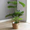 3QwcNordic-Extra-Large-Straw-Flower-Pot-Seaweed-Storage-Basket-Potted-Green-Plant-Flower-Basket-Hand-Woven.jpg