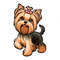 Yorkshire terrier_6.png