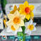 paper-daffodils-flower-svg.jpg