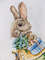 2. Bunny with a blue box Photo10.JPG