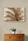 plant-on-wooden-drawers (1).jpg