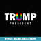 Donald Trump President 2020 LGBT Rainbow Gay Pride - Special Edition Sublimation PNG File