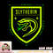 Harry Potter Slytherin Pride Badge PNG Download copy.jpg