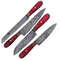 Handmade Forged Damascus Steel Kitchen Knives Set (2).jpeg