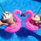 Cute Pool/Beach Cup Holders