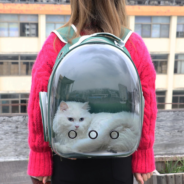 1clearcatbackpack