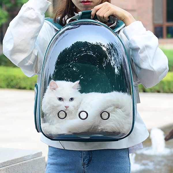 clearcatbackpackcarrier