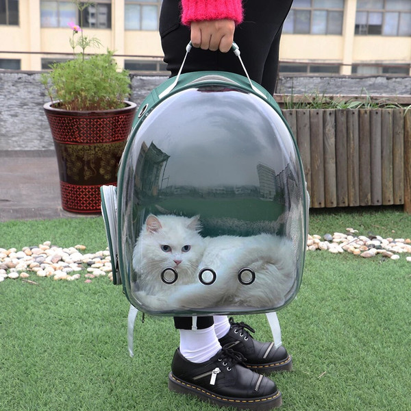 clearplasticcatbackpack