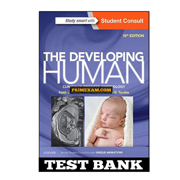 The Developing Human 10th Edition Moore Test Bank.jpg