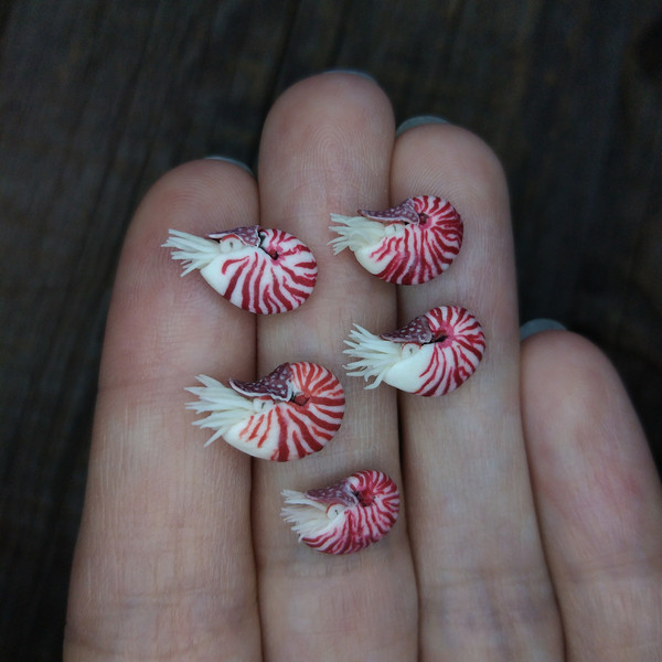 tiny-mollusc-for-diorama-1.jpg