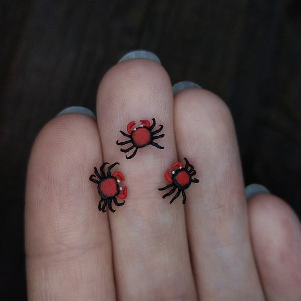 miniature-crab-1.jpg