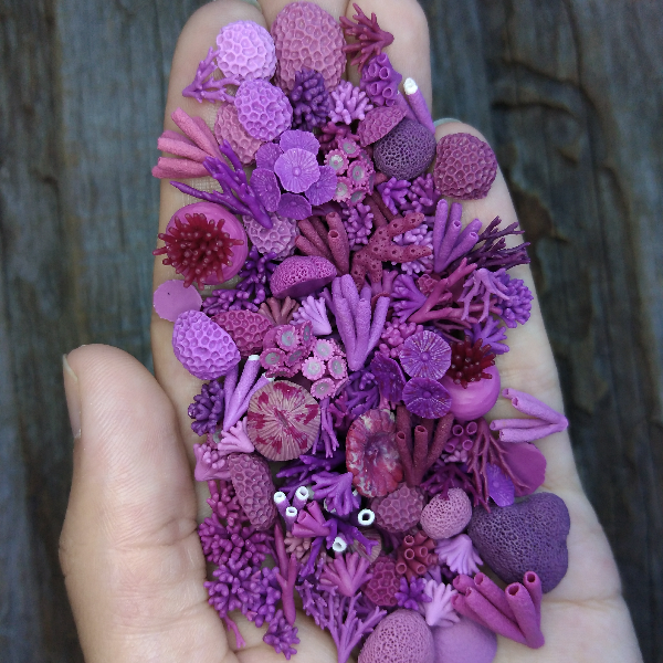 miniature-corals-1.jpg