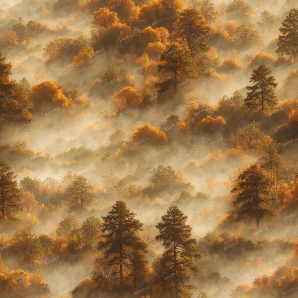 Mountain Forest on Autumn Morning.jpg