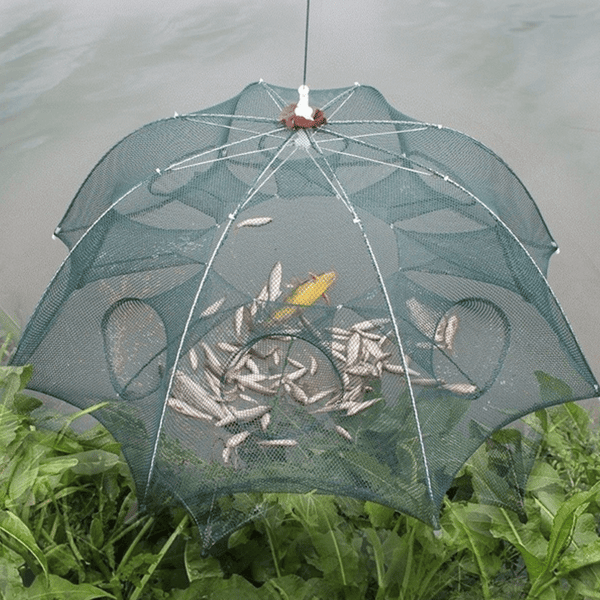 https://www.inspireuplift.com/resizer/?image=https://cdn.inspireuplift.com/uploads/images/seller_products/1655357228_automaticfoldablestrengthenedfishcatcher2.png&width=600&height=600&quality=90&format=auto&fit=pad