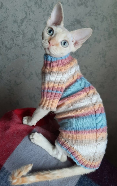 Striped Cat Sweater Striped Cat Clothes Sphynx Sweater 