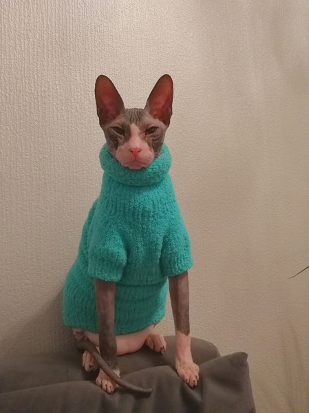Wool Cat Clothes Wool Sphynx Clothes Wool Sphynx Sweater 