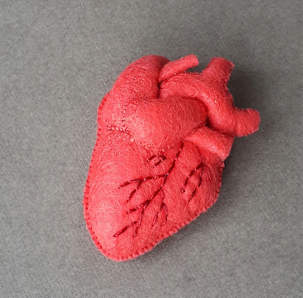 Red Human heart pattern, anatomy heart.jpg