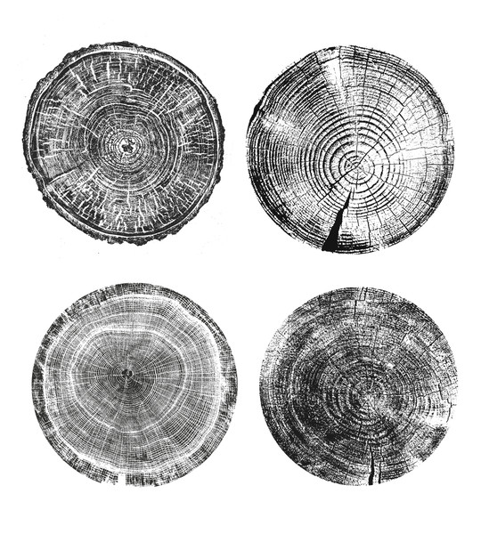tree rings print