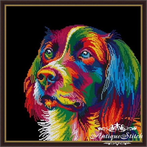 RainbowDog-1.jpg