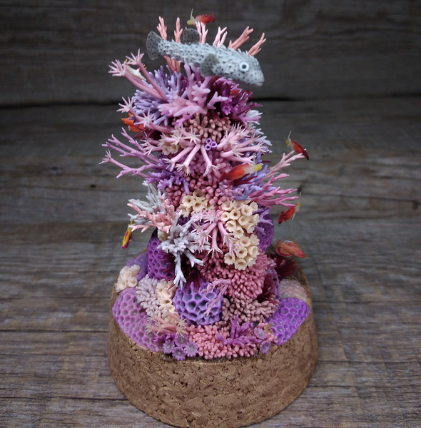 Aquarellum - Coral Reefs - Imagination Toys