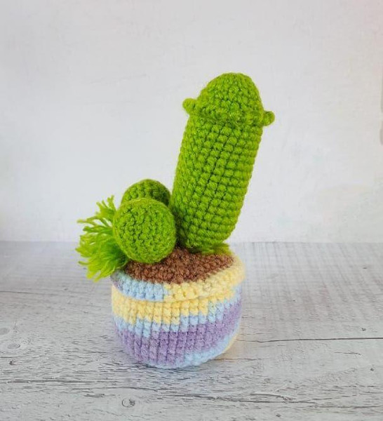 Amigurumi cactus penis crochet pattern.jpg