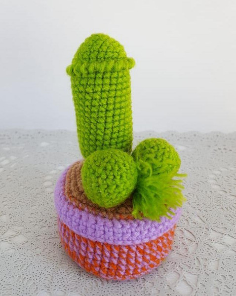 Amigurumi cactus penis crochet pattern.jpg