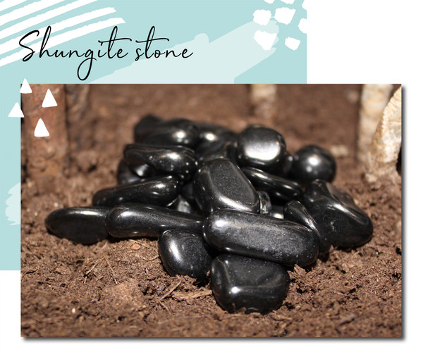 shungite tumbled000.jpg