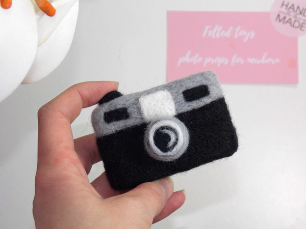 Needle felted photo camera.jpg