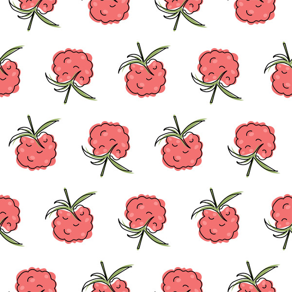 raspberry pattern line-06.jpg