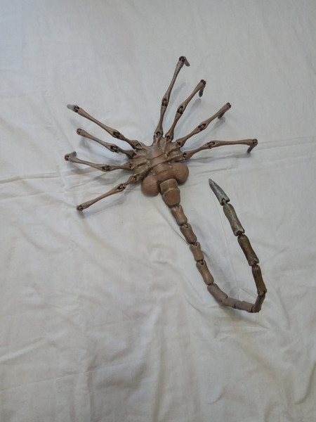 facehugger2.jpg