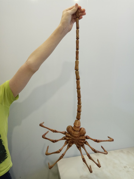 facehugger6.jpg