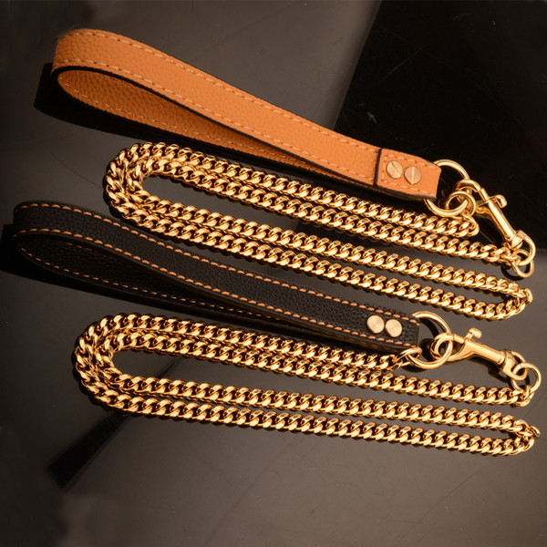 dog_leash_golden_05.jpg