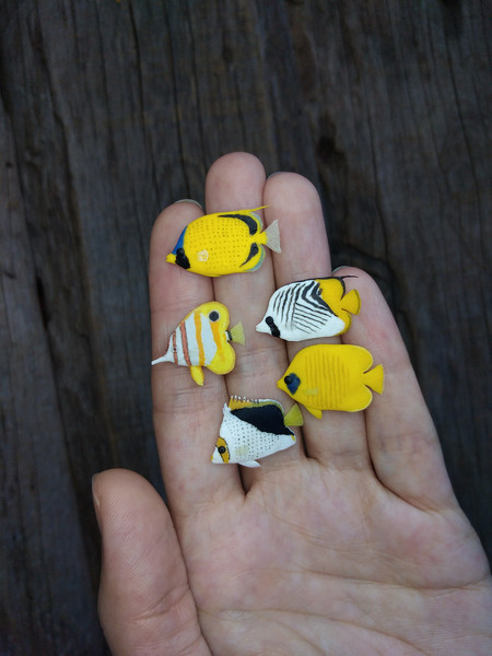 hawaii-butterflyfish-1.jpg