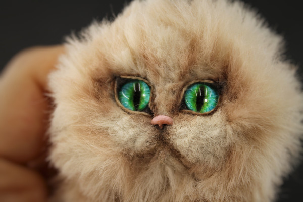 green eyes cat