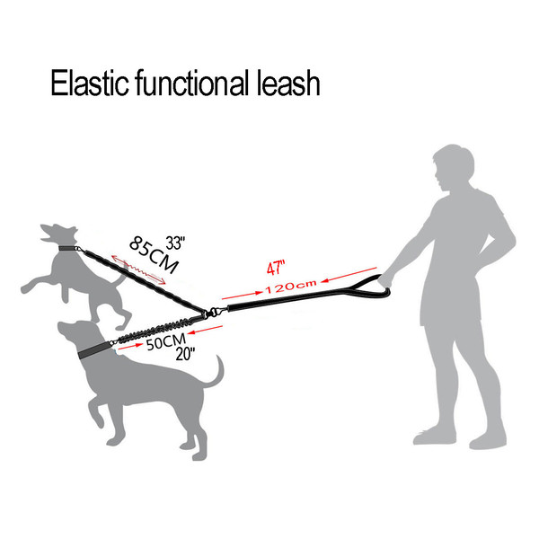 2_way_elastic_leash_01.jpg