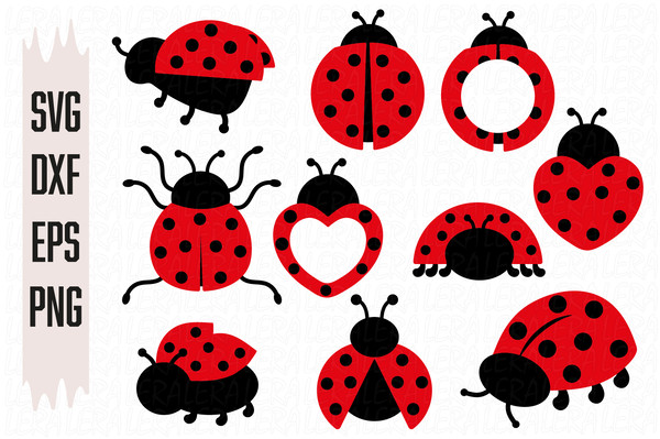 Ladybug Illustration SVG/PNG Graphic by Vector Haven · Creative