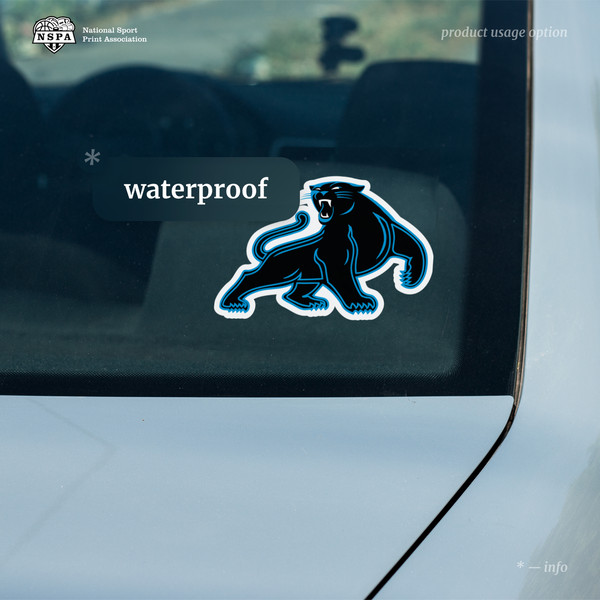 panthers car decal.jpg