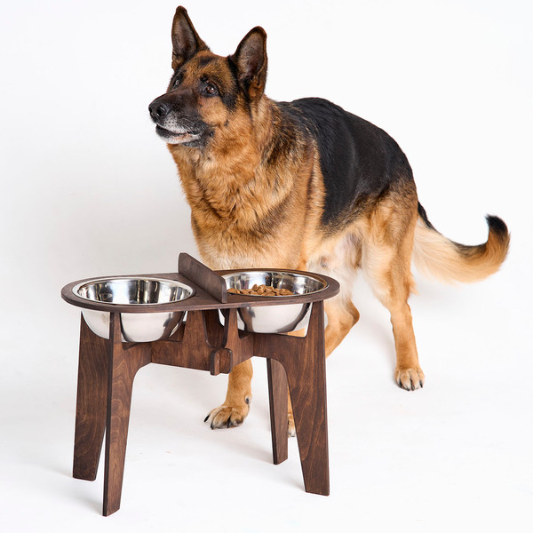 Elevated Dog Bowls, Slow Feeder Raised Dog Bowl 4 Height