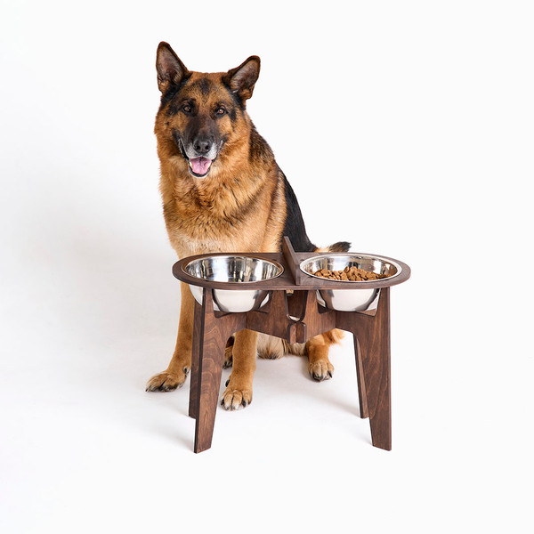Raised Dog Bowls Extra Large Stainless Steel Dog Bowl Giant 