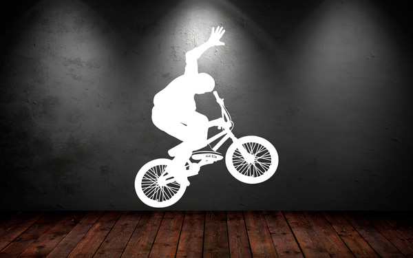 Bike Bicycle Mountain Extreme Sport Sticker