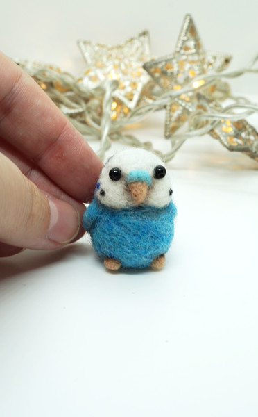 turquoise-budgie-1