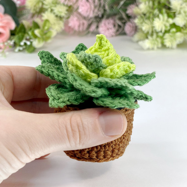 amigurumi-pattern-plant