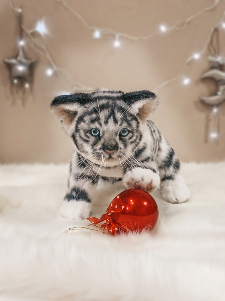 tiger_cub_toy.jpg