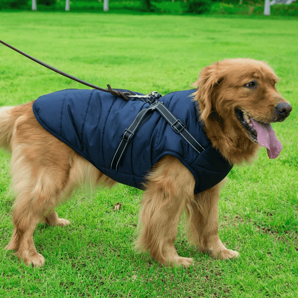 dogjacketharnessnavyblue.png