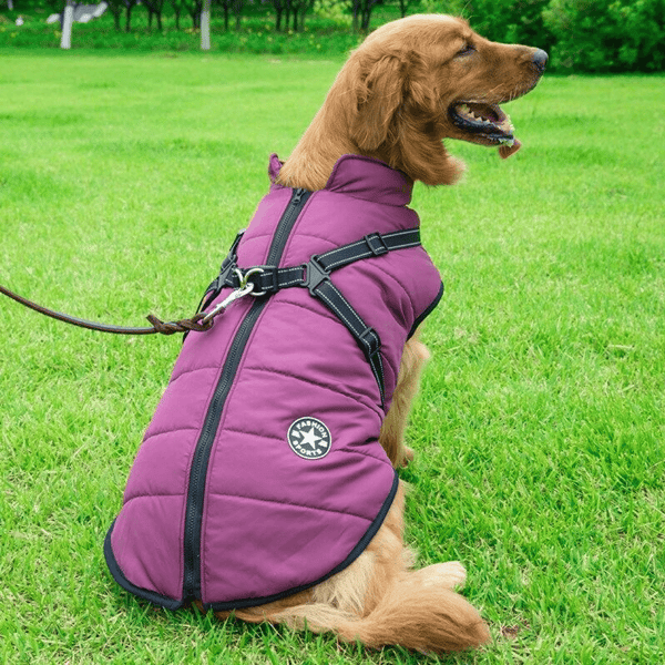 dogjacketharnesspurple.png