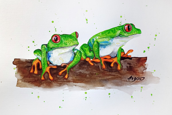 watercolor frog by Anne Gorywine