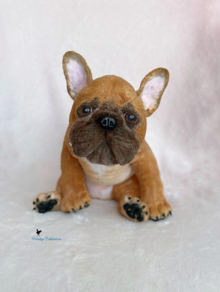 The Best French Bulldog Toys for Their Unique Traits – Furtropolis