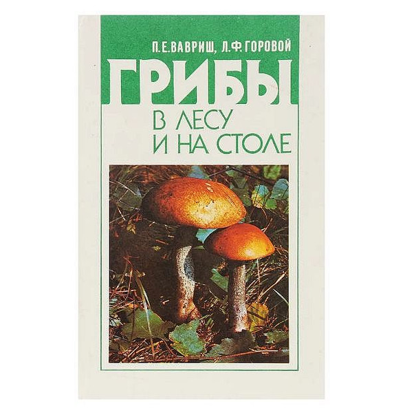 mushrooms-in-the-forest.JPG