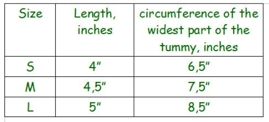 bearded dragon size.png